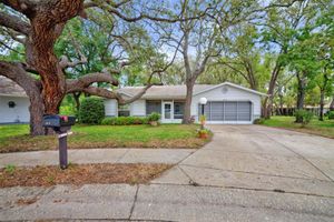 8619 GOLD PINE DR, PORT RICHEY, FL