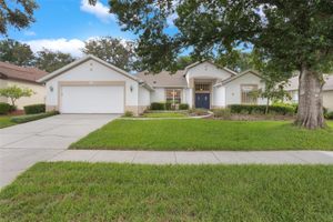 6029 FALCONBRIDGE PL, MOUNT DORA, FL