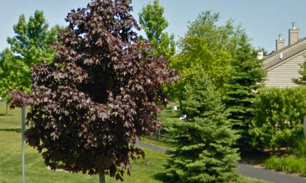 Walking Trail with Mature Landscaping