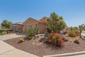 26237 W VISTA NORTH DR, BUCKEYE, AZ