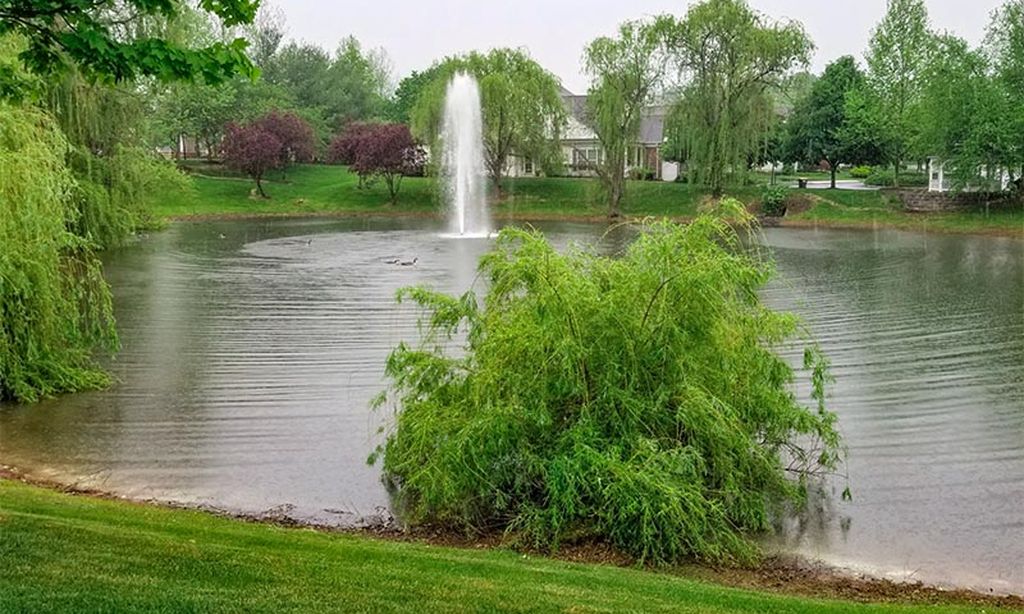 Somerset Run - Somerset NJ