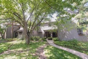 196 SHORELINE RD, LAKE BARRINGTON, IL
