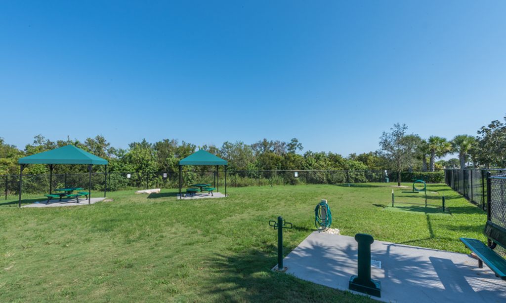 Dog Park