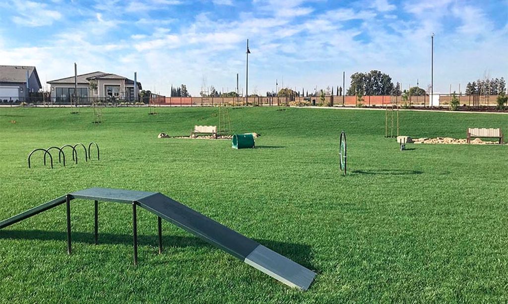 Dog Park