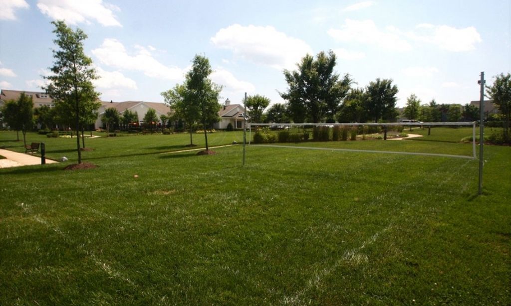 Volleyball Court