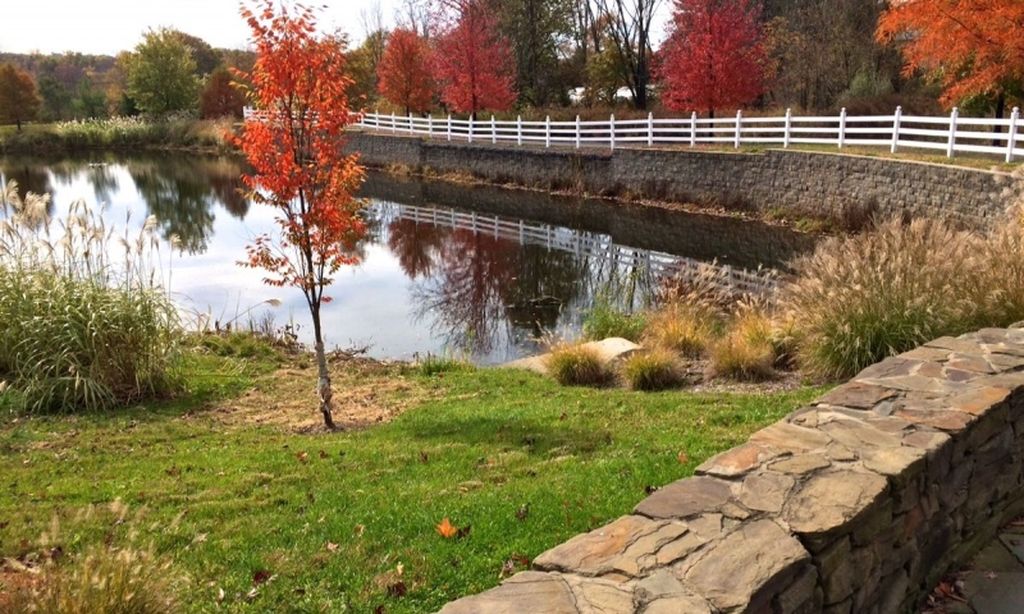 The Stonewall Garden