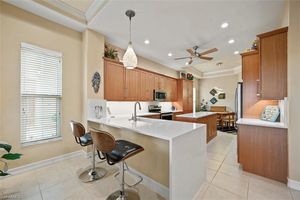 20028 SARACENO DR, ESTERO, FL