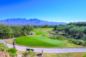 1797 W PLACITA CANOA AZUL, GREEN VALLEY, AZ