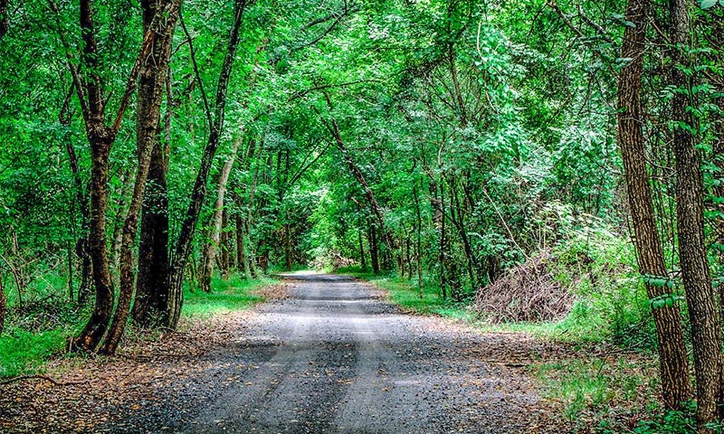 Walking & Biking Trails