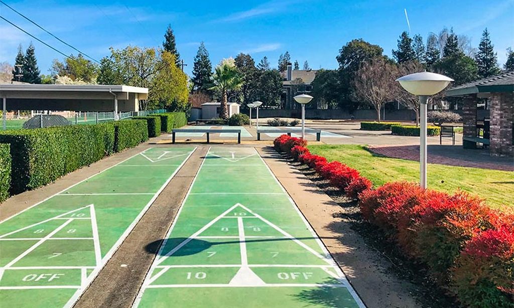 Shuffleboard Courts