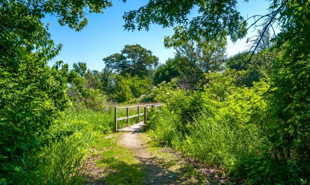Walking & Biking Trails
