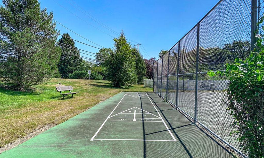 Shuffleboard Court