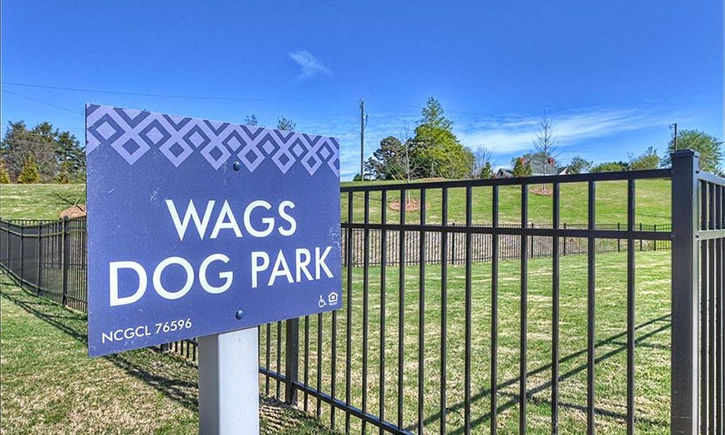 Dog Park
