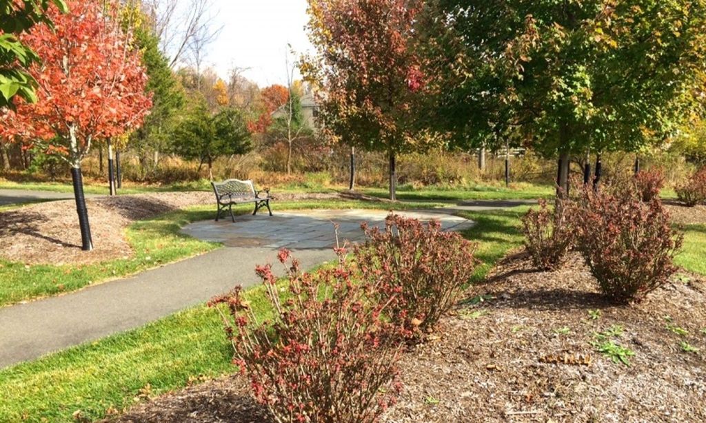 The Forest's Edge Garden