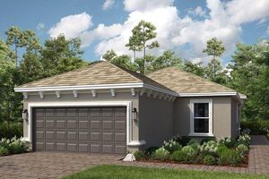 29524 ZUPETTA LN, WESLEY CHAPEL, FL