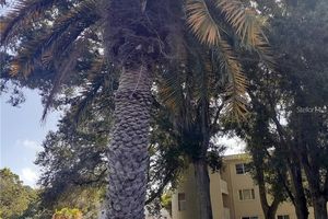 2441 PERSIAN DR APT 61, CLEARWATER, FL