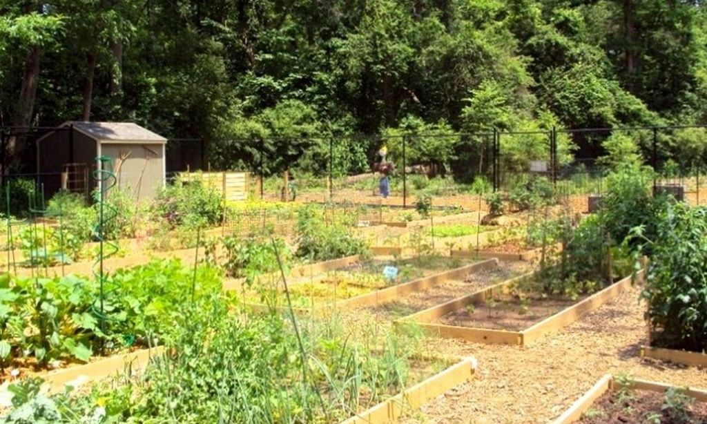 Community Garden