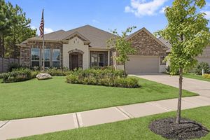 234 SILVER DAPPLE, THE WOODLANDS, TX