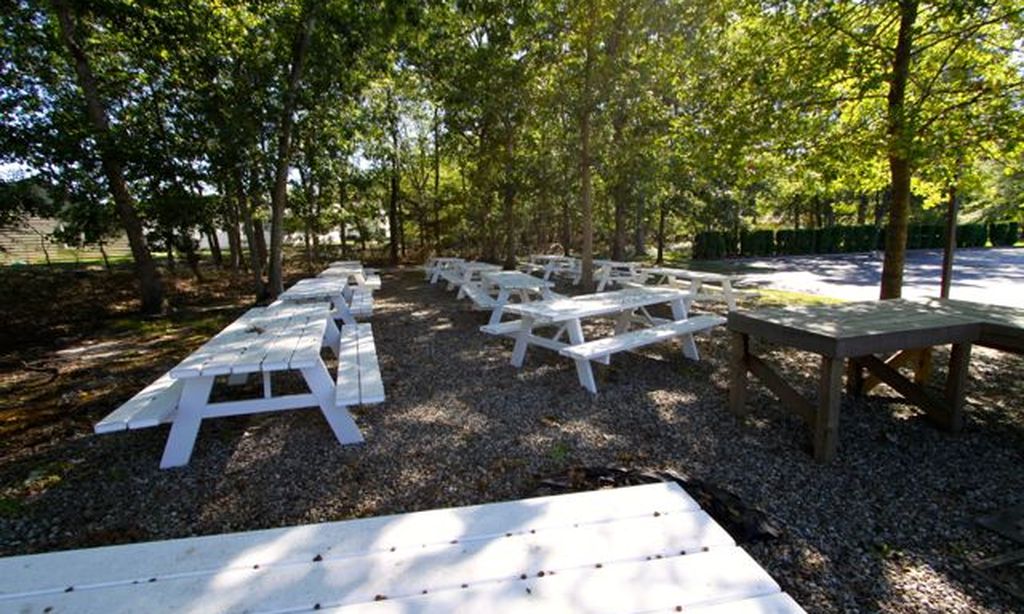 Picnic Area