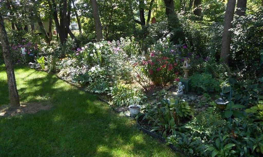 Scenic Walking Paths