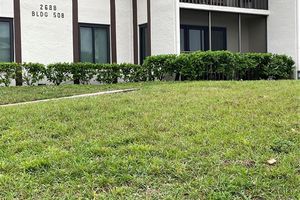 2688 PINE RIDGE WAY D2, PALM HARBOR, FL