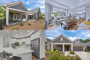 1113 HEADWATERS CT, MATTHEWS, NC