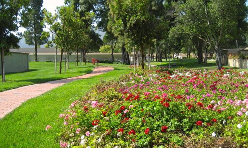 Walking & Biking Paths