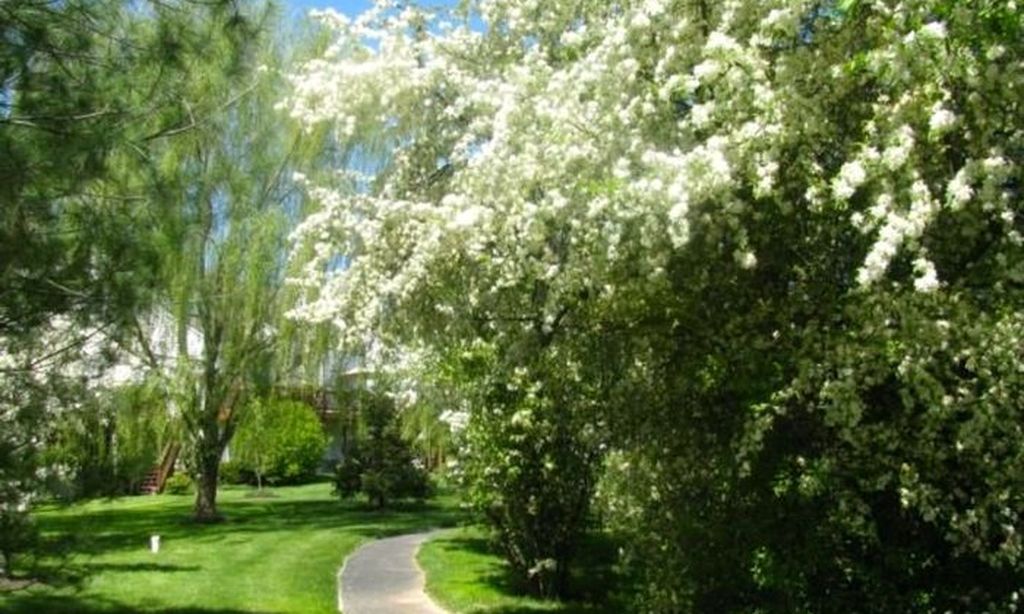 Walking & Biking Trails