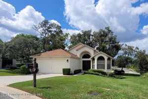 11255 COPLEY CT, SPRING HILL, FL