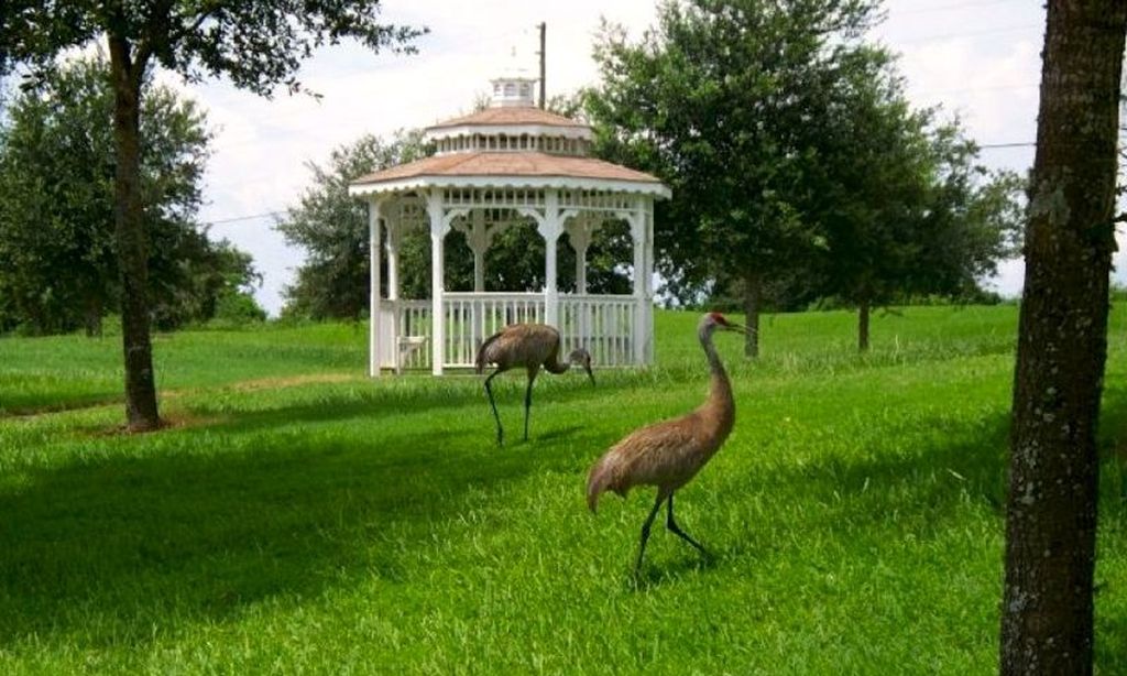 Gazebo