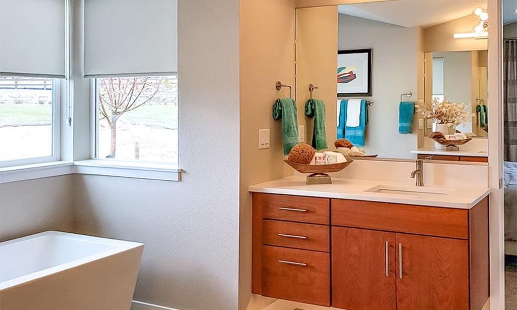 Model Master Bath