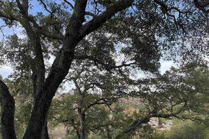 3120 PTARMIGAN DR 3, WALNUT CREEK, CA