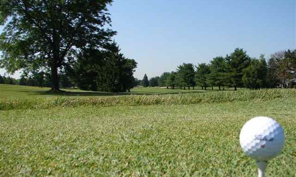 Well-Manicured Greens and Fairways