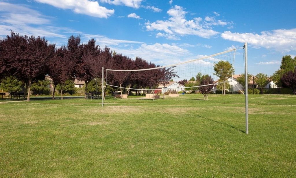 Volleyball Court