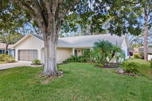 6393 LOST TREE LN, SPRING HILL, FL