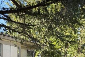 2825 PTARMIGAN DR 3, WALNUT CREEK, CA