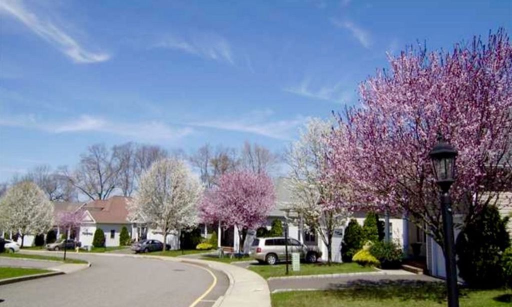 Beautiful Streetscapes