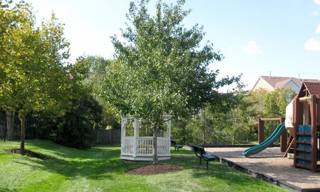 Gazebo & Playground for Grandkids