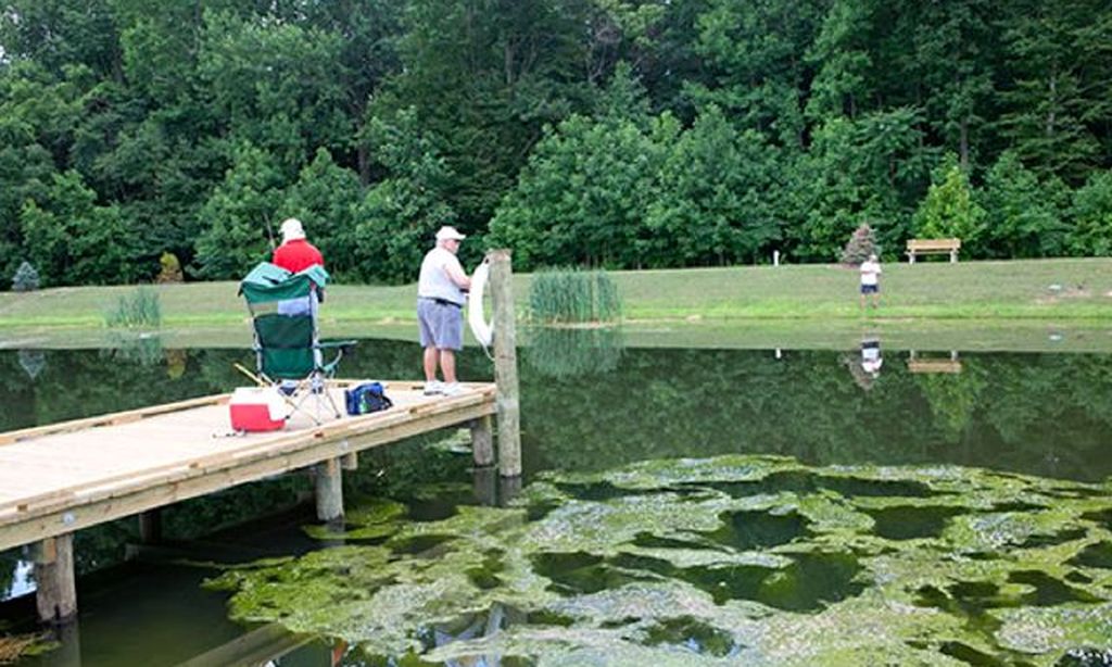 Stocked Fishing Ponds