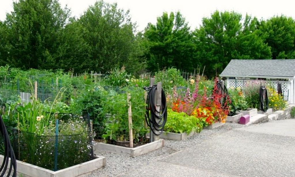 Gardening Plots