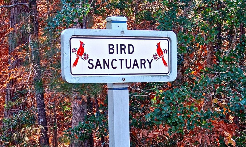 200-Acre Wildlife Preserve