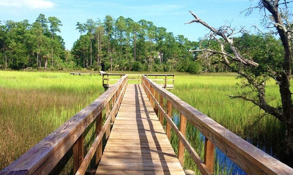 Public & Protected Wetlands