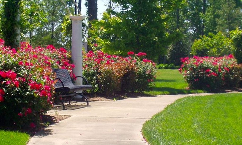 Scenic Walking Paths