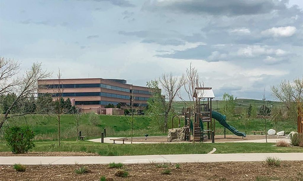 Playground for Grandkids