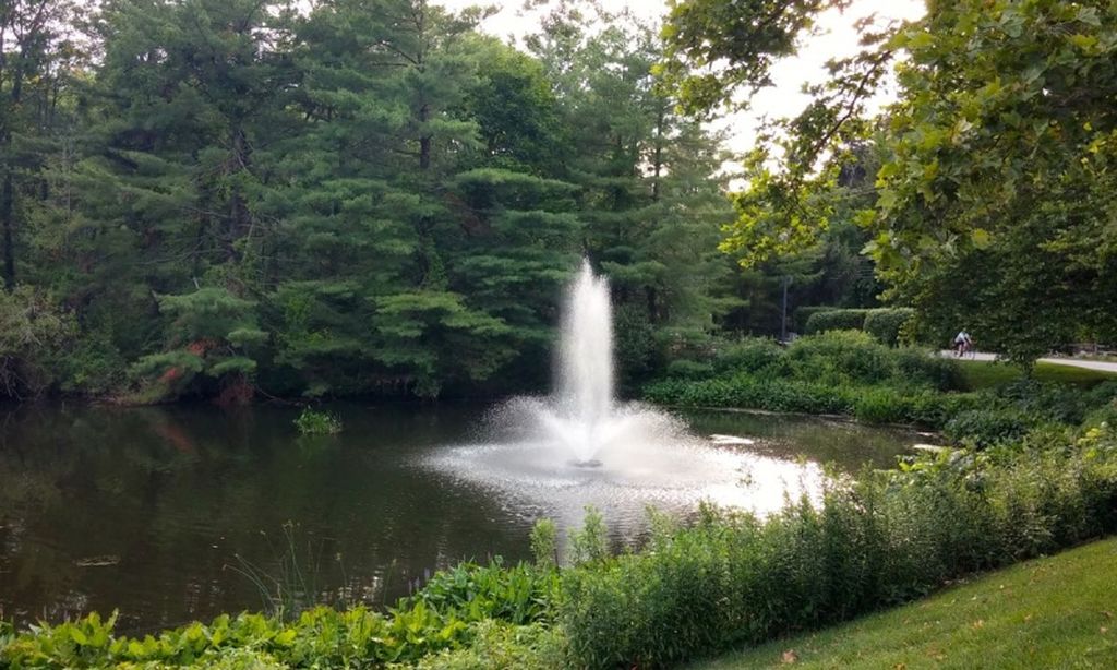 Scenic Lakes & Ponds