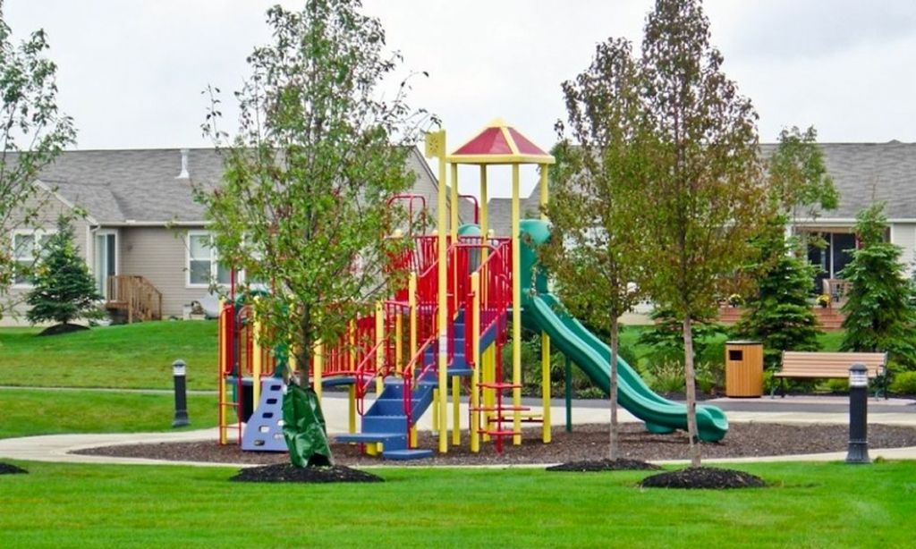 Playground for Grandkids