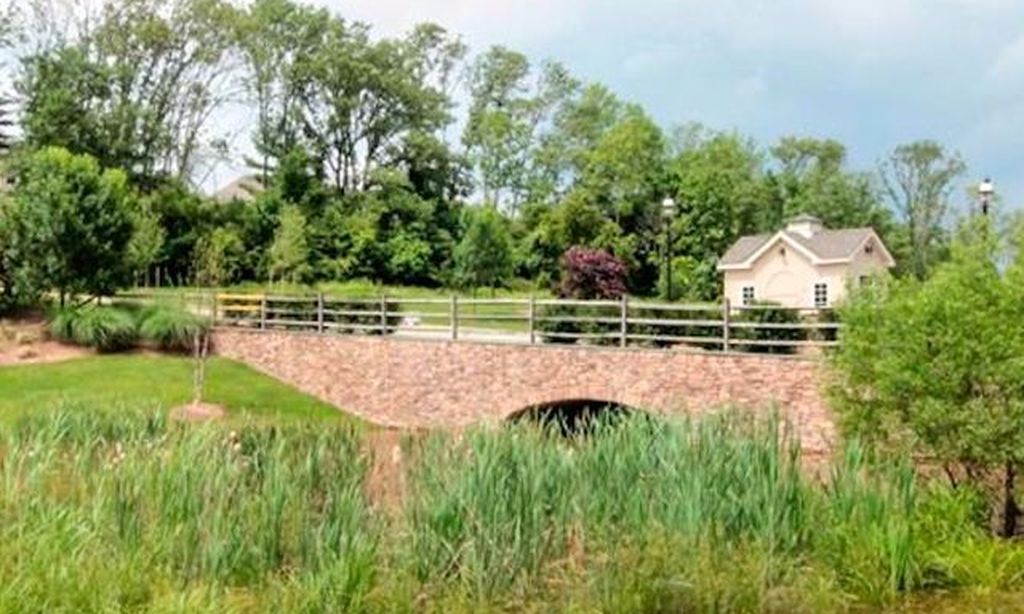 Natural Surroundings