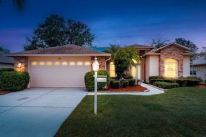 1251 RAMBLING VINE CT, TRINITY, FL
