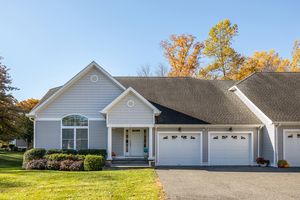 1 BLOSSOM CT # 1, NEW MILFORD, CT