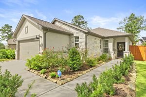 247 N WILD PETUNIA TRL, MONTGOMERY, TX